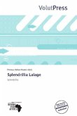 Splendrillia Lalage