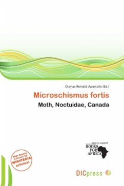 Microschismus fortis