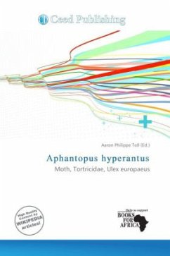 Aphantopus hyperantus