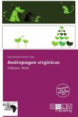 Andropogon virginicus