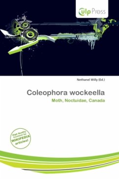 Coleophora wockeella