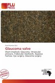 Glaucoma valve