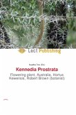 Kennedia Prostrata