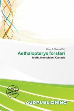 Aethalopteryx forsteri Aethalopteryx forsteri