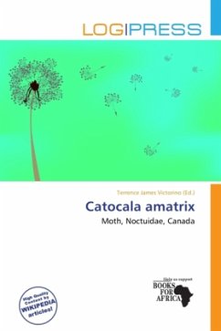 Catocala amatrix