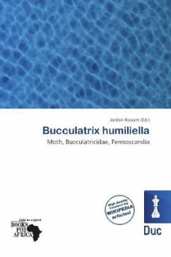 Cover Bucculatrix humiliella