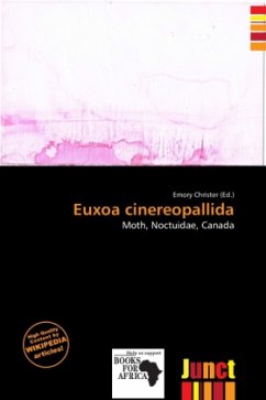 Euxoa cinereopallida Cover Euxoa cinereopallida