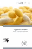 Glyphodes sibillalis