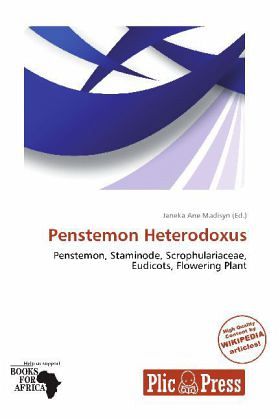 Penstemon Heterodoxus Penstemon Heterodoxus