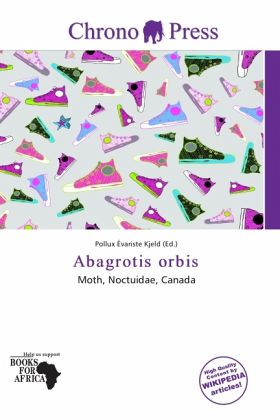 Abagrotis orbis Abagrotis orbis