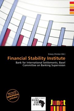 Financial Stability Institute Financial Stability Institute