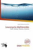 Leuconycta diphteroides Leuconycta diphteroides