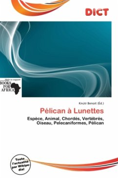 Pélican à Lunettes Pélican à Lunettes