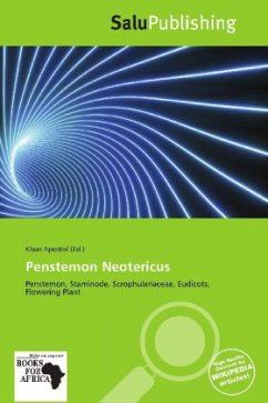 Cover Penstemon Neotericus