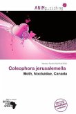 Coleophora jerusalemella Coleophora jerusalemella