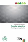 Adscita albanica