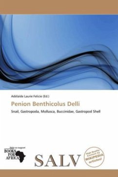 Penion Benthicolus Delli