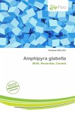 Amphipyra glabella