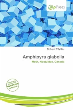 Cover Amphipyra glabella