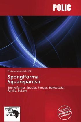Spongiforma Squarepantsii