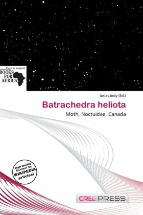 Batrachedra heliota Batrachedra heliota