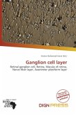 Ganglion cell layer