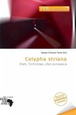 Celypha striana