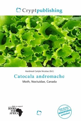 Catocala andromache Catocala andromache