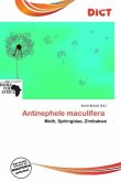 Antinephele maculifera