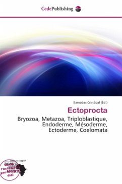 Ectoprocta