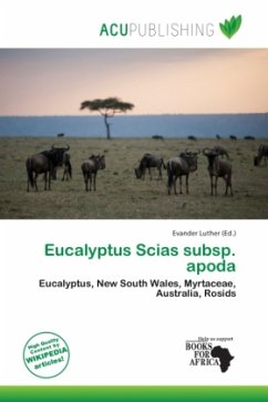 Eucalyptus Scias subsp. apoda