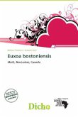 Euxoa bostoniensis