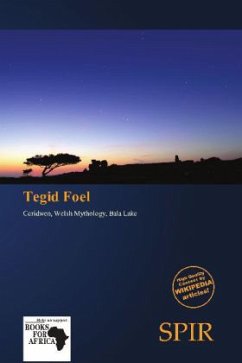 Cover Tegid Foel