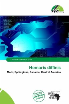 Cover Hemaris diffinis