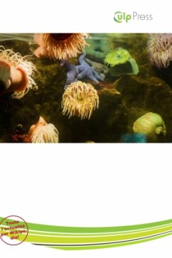 Cover Anémone de Mer