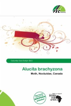 Cover Alucita brachyzona