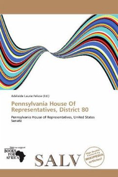 Pennsylvania House Of Representatives, District 80