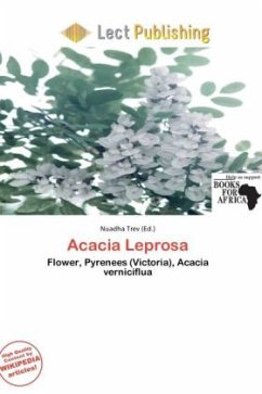 Cover Acacia Leprosa