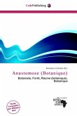 Anastomose (Botanique)