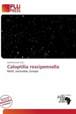 Caloptilia roscipennella