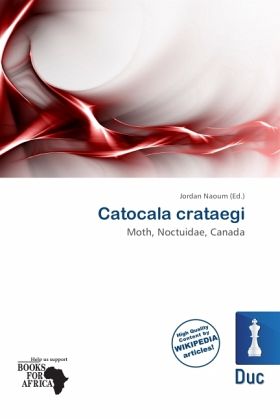 Catocala crataegi Catocala crataegi