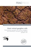 Giant retinal ganglion cells