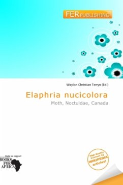 Cover Elaphria nucicolora