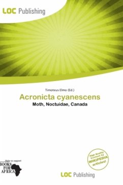 Acronicta cyanescens
