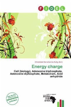 Cover Energy charge