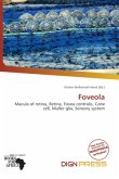 Foveola Foveola