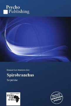 Spirobranchus