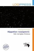 Hippotion roseipennis Hippotion roseipennis