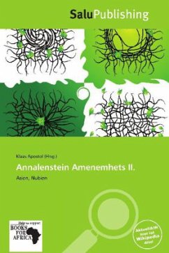 Cover Annalenstein Amenemhets II.