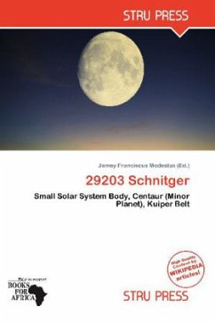 Cover 29203 Schnitger